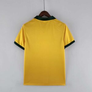 1988 Brazil home