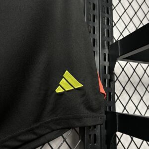 Spain 2024-25 Euro Goalkeeper uniform Shorts