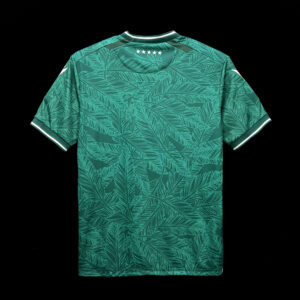 Santiago Wanderers 2024-25 Home Jersey