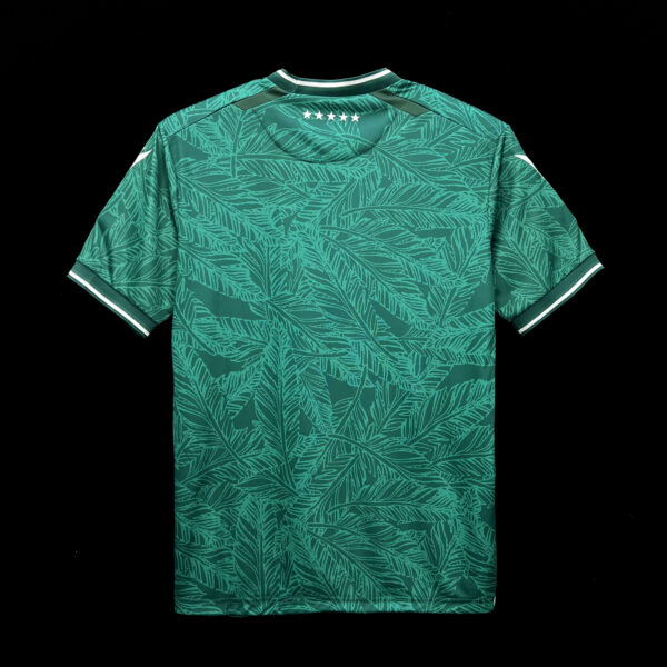 Santiago Wanderers 2024-25 Home Jersey