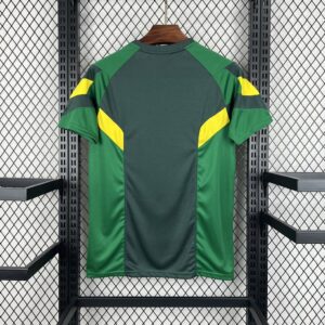 Celtic 2024-25 Special Edition Jersey