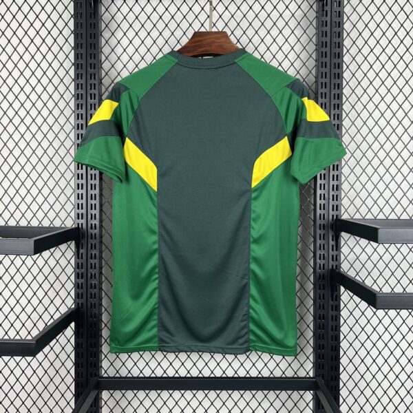 Celtic 2024-25 Special Edition Jersey