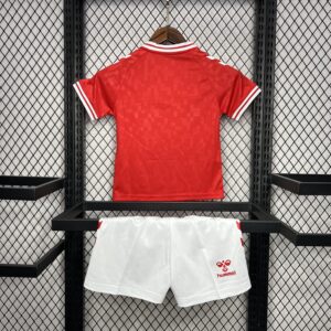 Denmark 2024-25 Euro Home Kids Kit