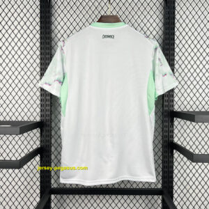 Austria 2026 World Cup Away Jersey