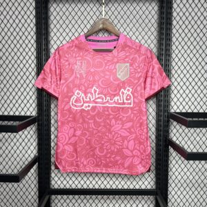 CD Palestino 2023-24 Pink training pre-match training Jersey