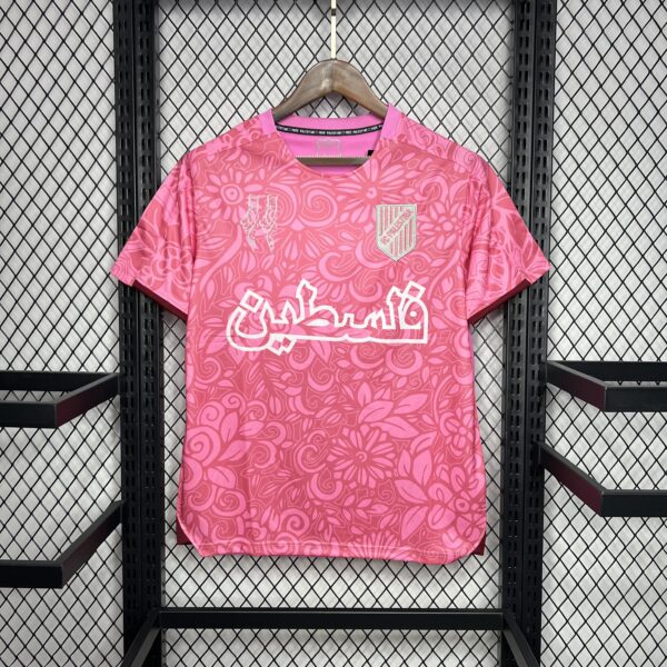 CD Palestino 2023-24 Pink training pre-match training Jersey