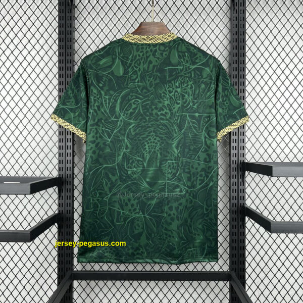 Brazil 2026-27 Special Jersey