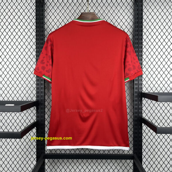 Iran 2026 World Cup Away Jersey