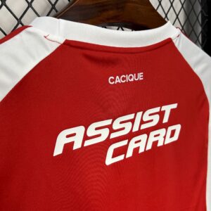 Colo Colo 2024-25 Third Jersey