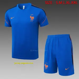 2627 short-sleeved French orchid-France