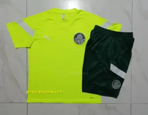 Short-sleeved 2324 Palmeiras fluorescent green (with cropped pants)