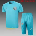 Short-sleeved 2324 Palmeiras grass green (with cropped pants)