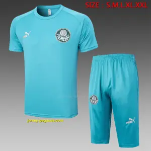 Short-sleeved 2324 Palmeiras grass green (with cropped pants)