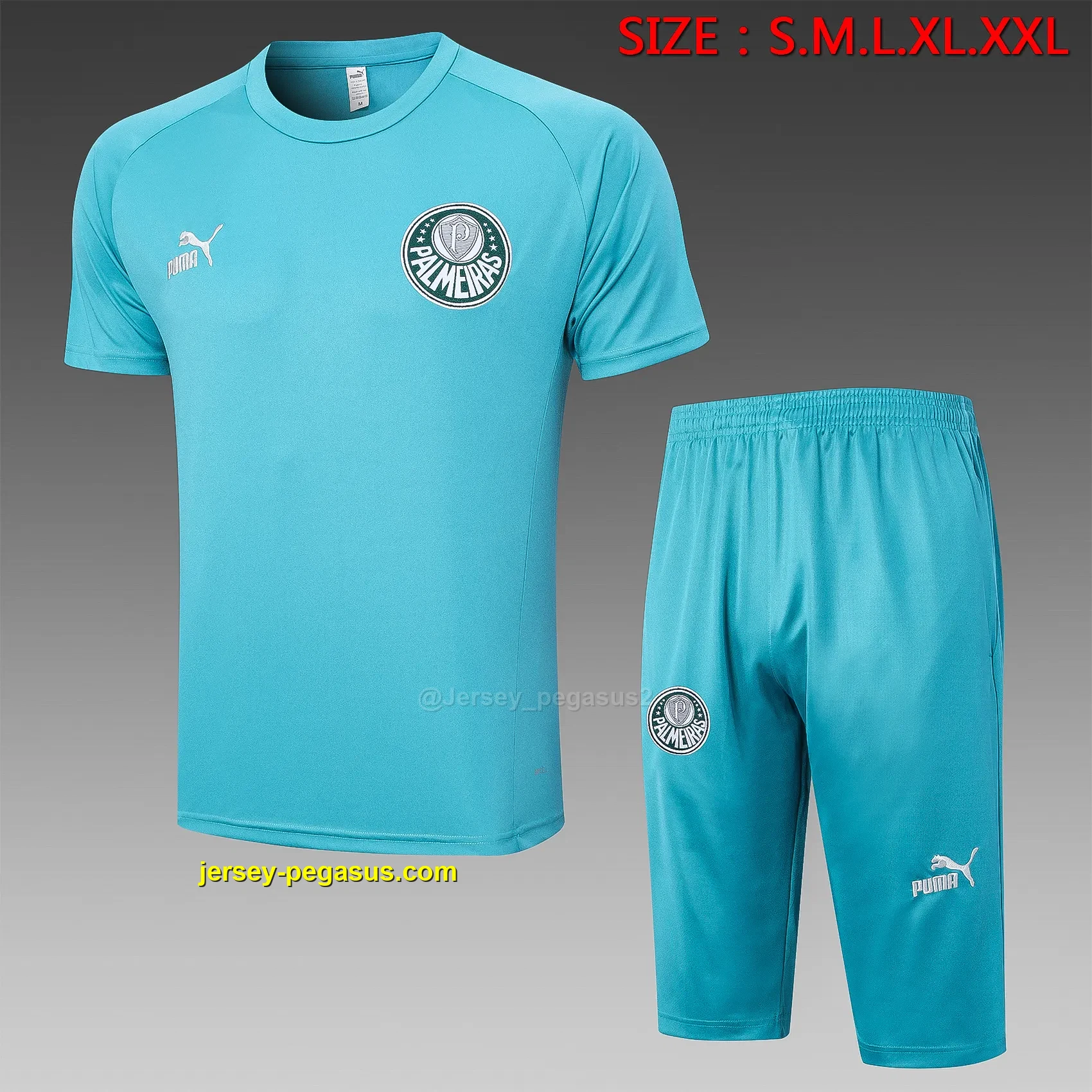 Short-sleeved 2324 Palmeiras grass green (with cropped pants) Short-sleeved 2324 Palmeiras grass green (with cropped pants)