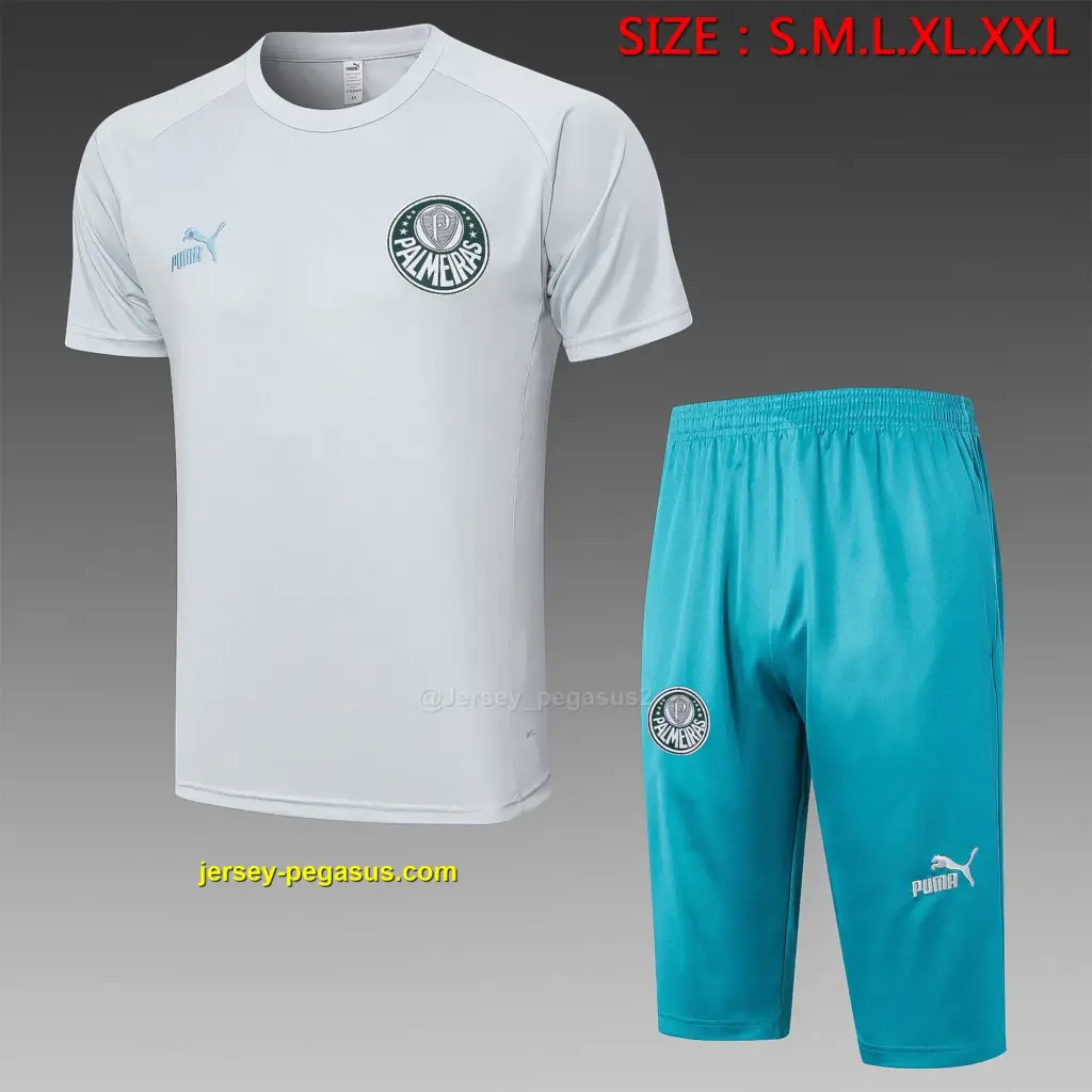 Short-sleeved 2324 Palmeiras light gray (with cropped pants)