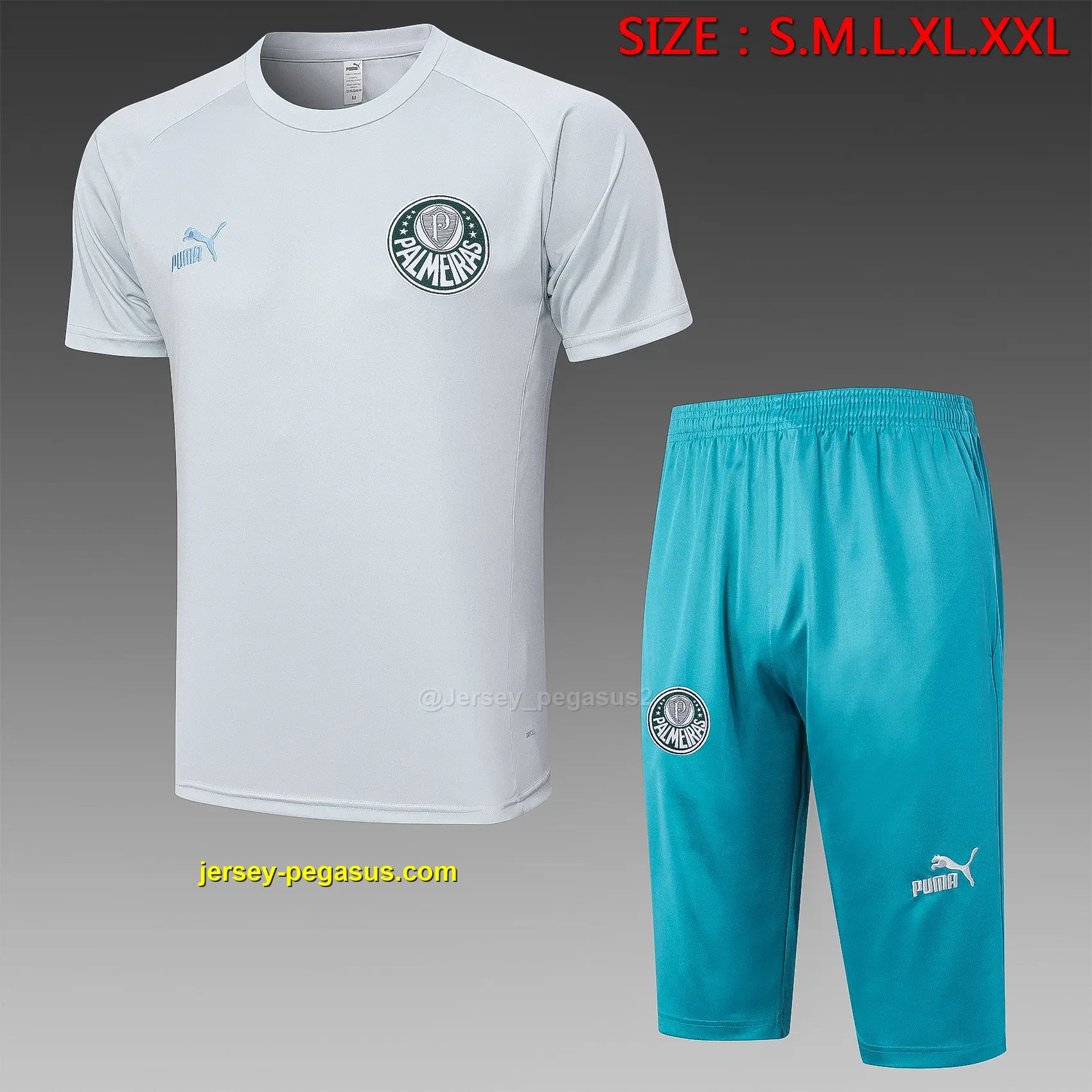 Short-sleeved 2324 Palmeiras light gray (with cropped pants) Short-sleeved 2324 Palmeiras light gray (with cropped pants)