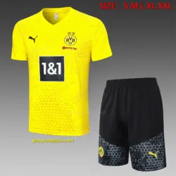 short sleeve 2324 special yellow