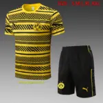 short-sleeved 2223 multi-color pad printing yellow (with five-length pants