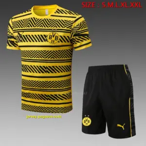 short-sleeved 2223 multi-color pad printing yellow (with five-length pants