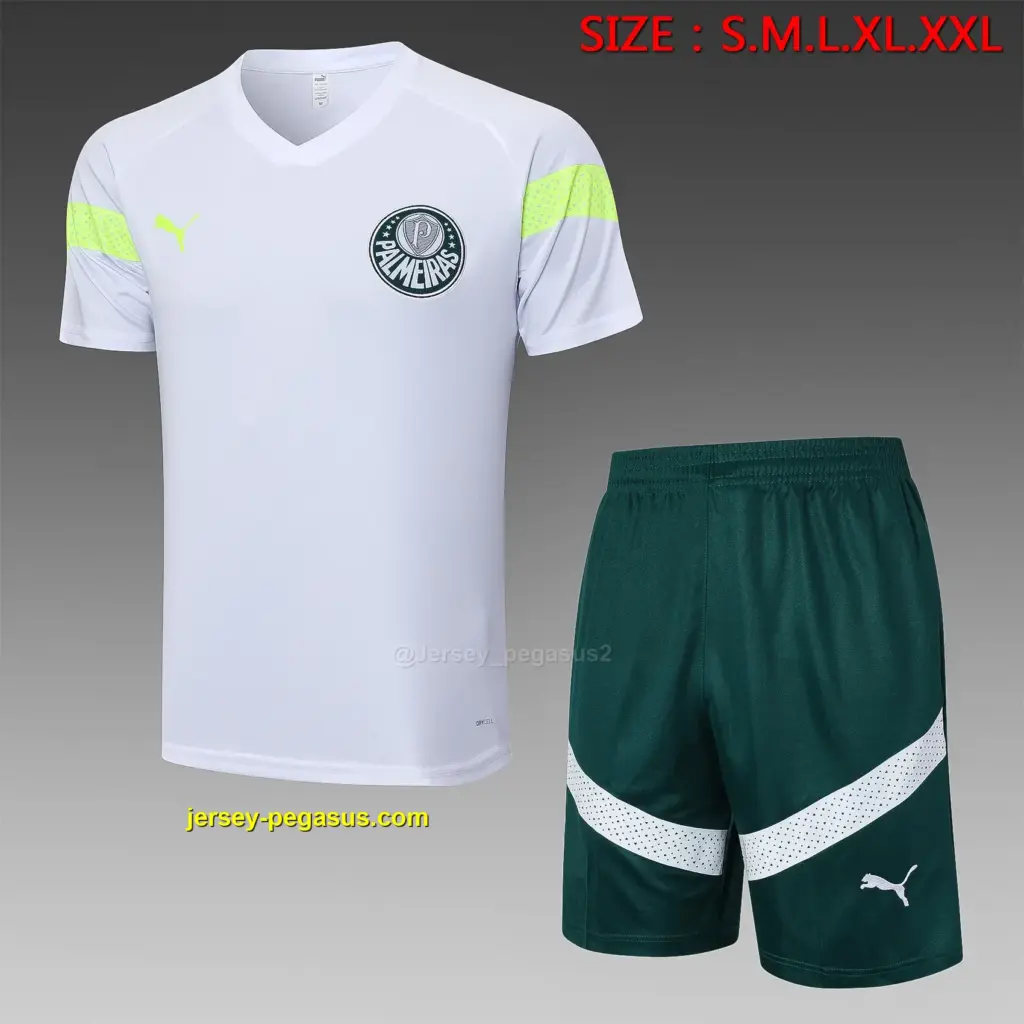 short-sleeved 2324 Palmeiras white (with cropped pants)