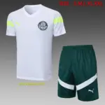 short-sleeved 2324 Palmeiras white (with cropped pants)