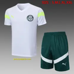 short-sleeved 2324 Palmeiras white (with cropped pants)
