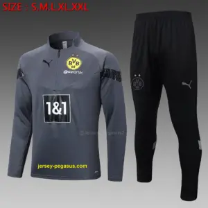 2223 Half Ladotte dark gray