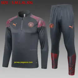 2324 Half La Manchester City Gray