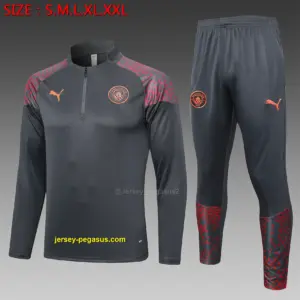 2324 Half La Manchester City Gray