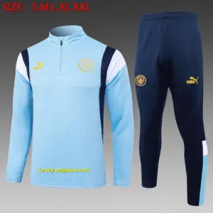 2324 half-Raman City light blue (gold mark)