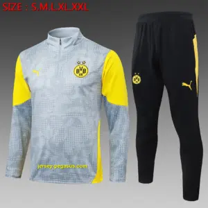2526 Half La Dort Light Gray Inkjet-Dortmund