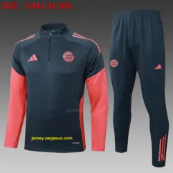 2526 half-pull Bayern gray-Bayern Munich