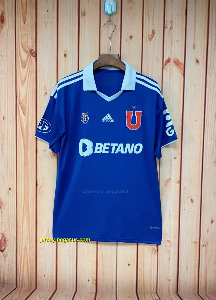 Universidad de Chile home