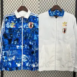 Japanese Dragon Ball double-sided silicone windbreaker