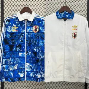Japanese Dragon Ball double-sided silicone windbreaker