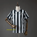 Botafogo Home Jersey (Without Sponsors)