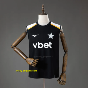 Botafogo training vest black Jersey