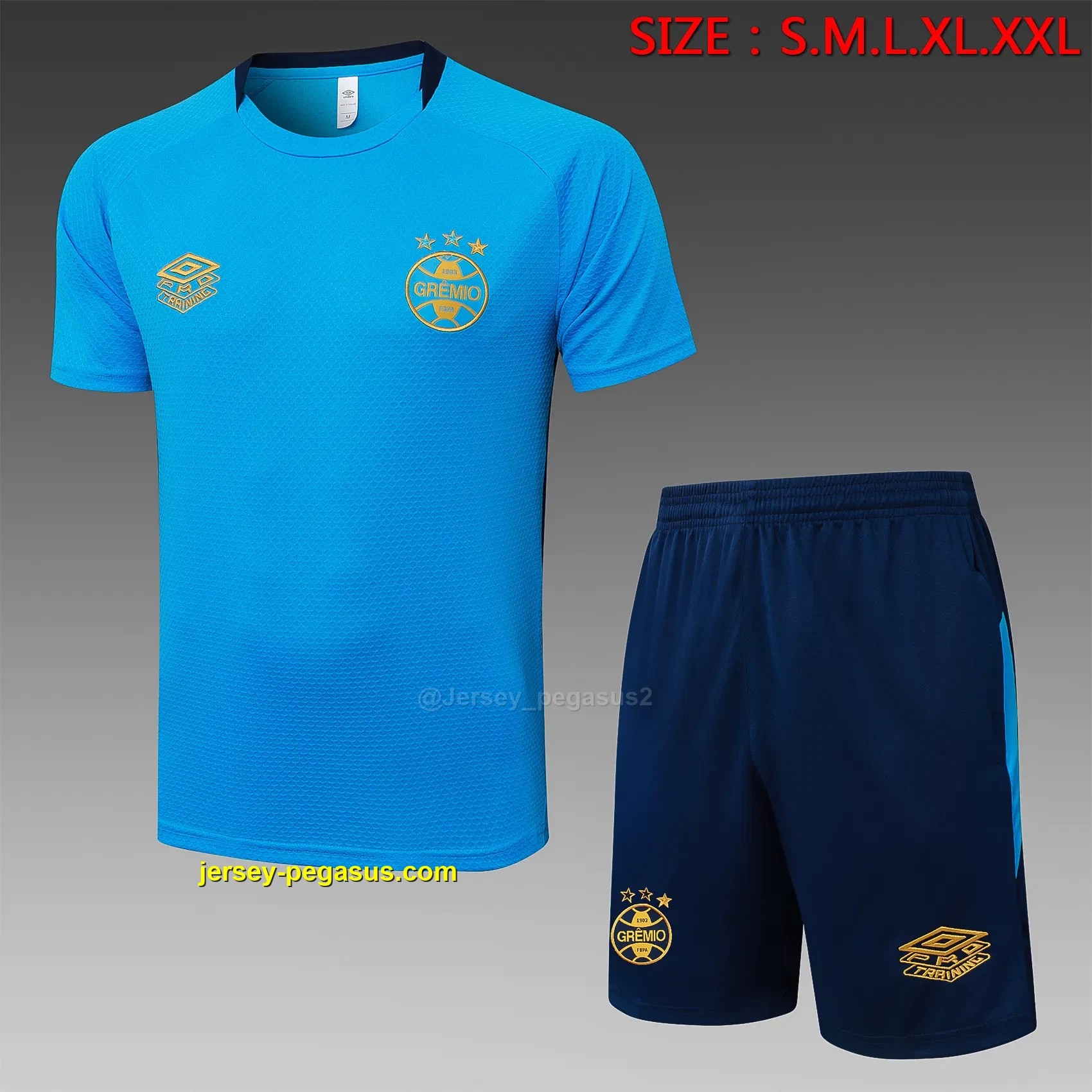 2526 short sleeve Gremio Hulan-Gremio 2526 short sleeve Gremio Hulan-Gremio