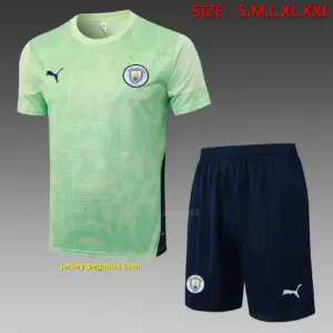 2526 short sleeve Manchester City light green inkjet--Manchester City