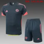 2526 short-sleeved Bayern dark gray-Bayern Munich