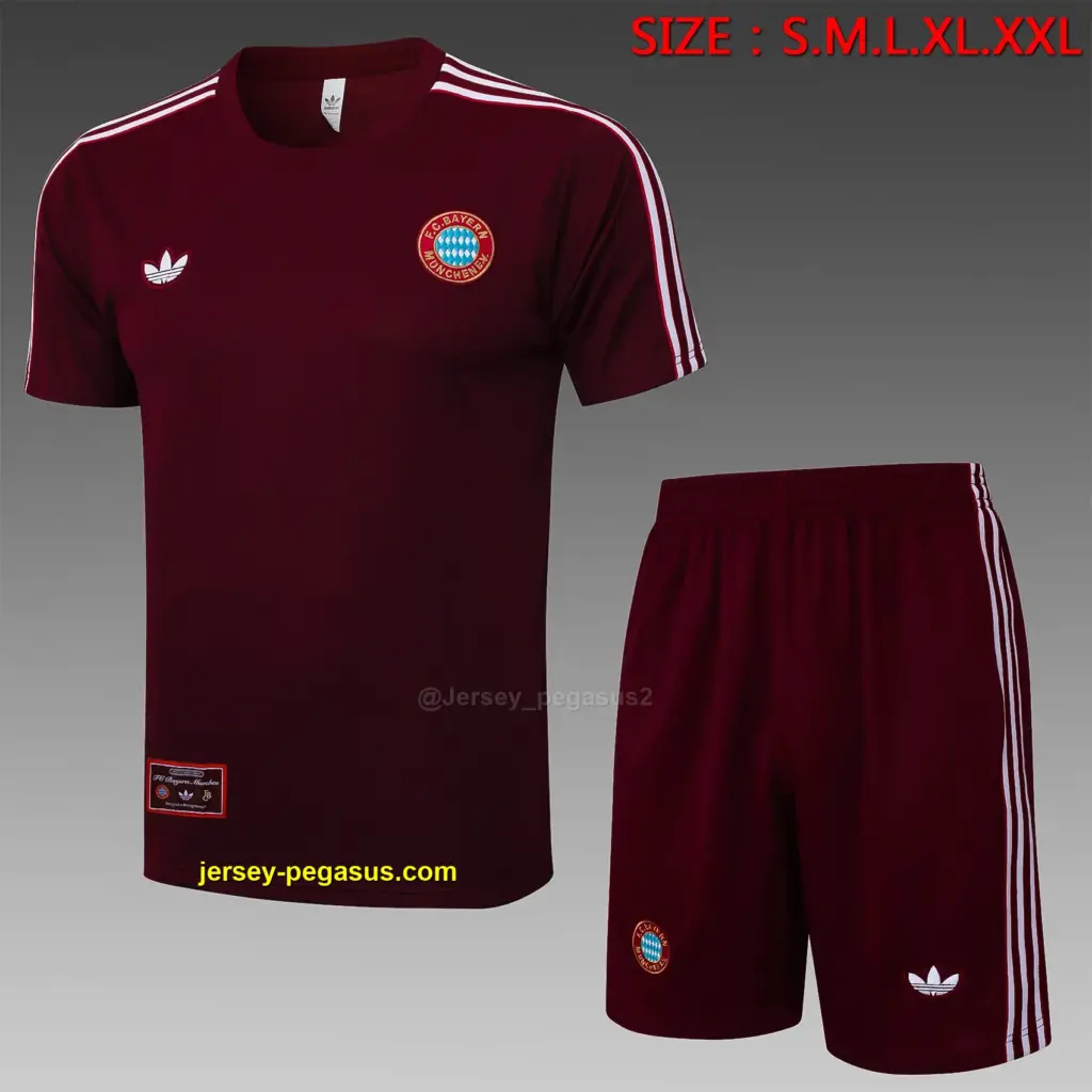 2526 short-sleeved Bayern dark maroon retro version-Bayern Munich