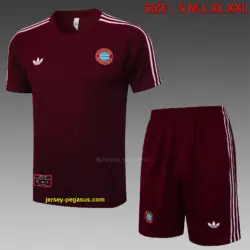 2526 short-sleeved Bayern dark maroon retro version-Bayern Munich