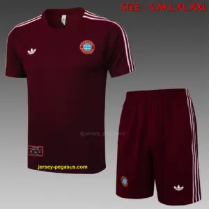 2526 short-sleeved Bayern dark maroon retro version-Bayern Munich