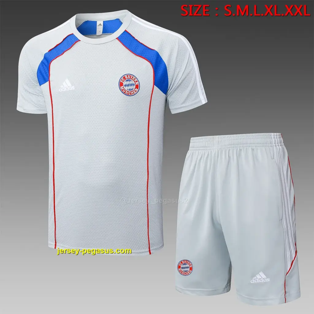2526 short-sleeved Bayern gray retro version (color blue color)-Bayern M