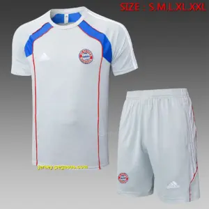 2526 short-sleeved Bayern gray retro version (color blue color)-Bayern M