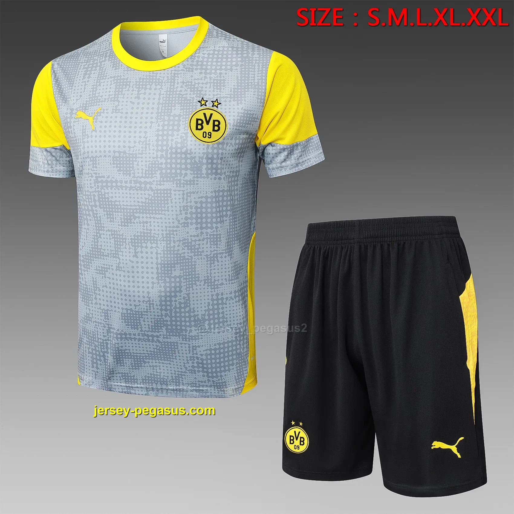 2526 short-sleeved Dortmund light gray inkjet-Dortmund 2526 short-sleeved Dortmund light gray inkjet-Dortmund
