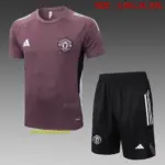 2526 short-sleeved Manchester United gray purple-Manchester United