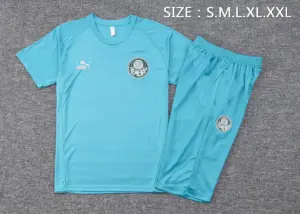 Short-sleeved 2324 Palmeiras grass green (with cropped pants)