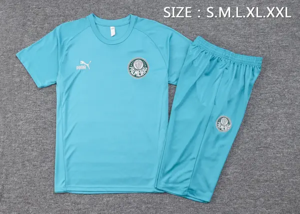 Short-sleeved 2324 Palmeiras grass green (with cropped pants)