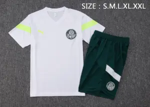 short-sleeved 2324 Palmeiras white (with cropped pants)